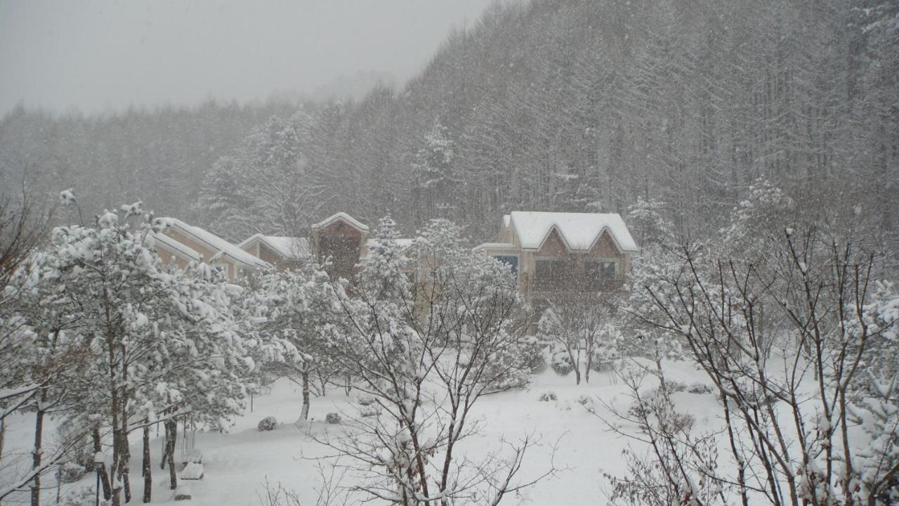 Shinevalley Pension & Hotel Pyeongchang Dış mekan fotoğraf